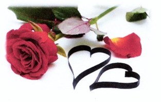 img20260403_11222263